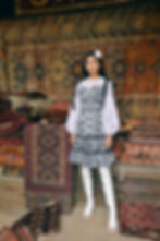 Campaign