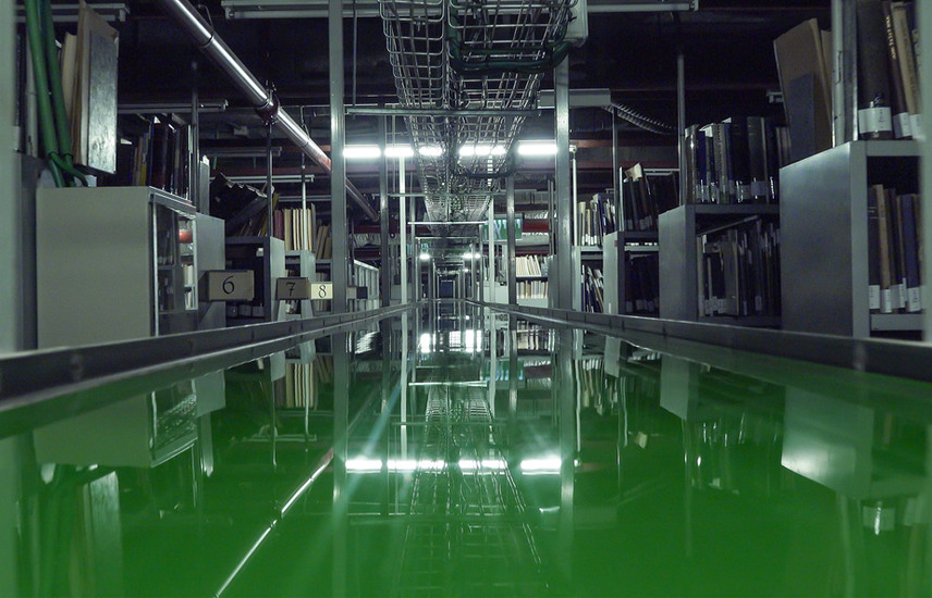 Biblioscopia, 2020-2024, video and sound installation, The Israel Museum