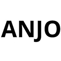 anjo-professional-logo.png