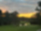 IMG-8338.jpg