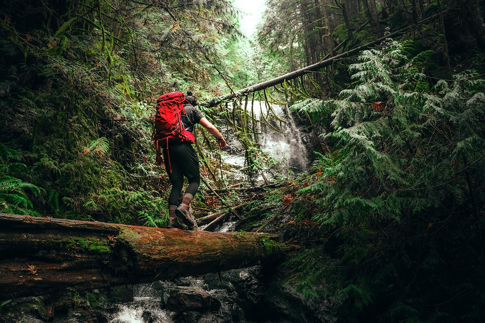 Wanderer mit rotem Rucksack über einen Baumstamm, Naturkulisse, Vagabundo Ihr Outdoor Experte