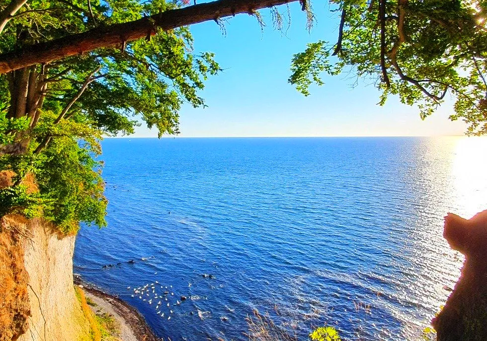Steilküste mit Blick auf die Ostsee
