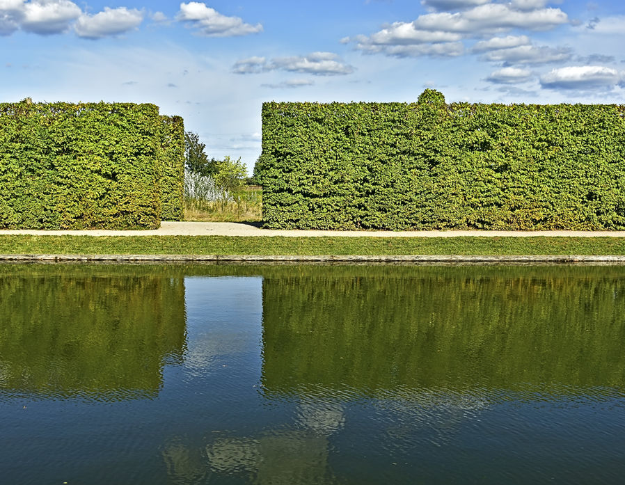 Hecke und Wasserspiegelung. Der Wald im Wechsel der Jahreszeiten.