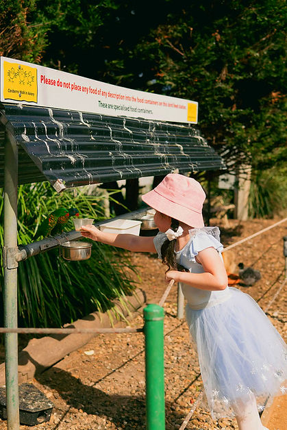 Mädchen in rosa Hut reicht nach Futterstation "Beobachtungsposten" draußen.