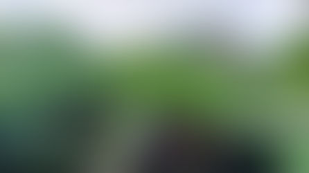 Harz, Teufelsbrücke im Bodetal