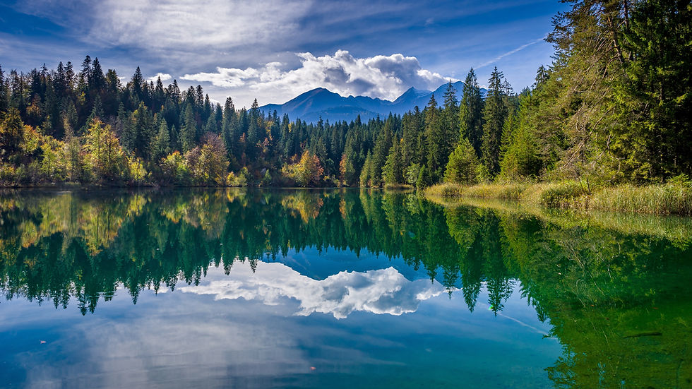 lake-see-wald-gebirge