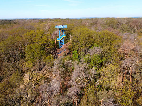 Abenteuer - Dölauer Heide