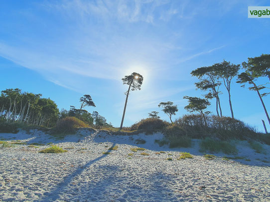 Entdecke die Abenteuertour Fischland-Darß