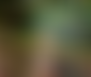 Eichelhäher mit Futter im Schnabel