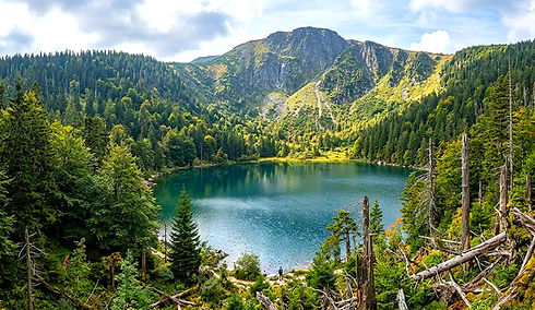 Bergsee im Nationalpark Bayerischer Wald, umgeben von Wäldern