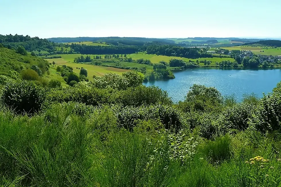 Landschaft mit See und grünen Feldern, Naturpark Südeifel: Wo Felsenschluchten flüstern und Geschichte atmet.
