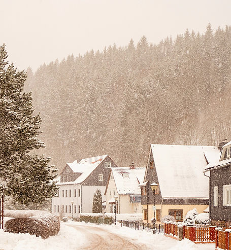 snow covered houses and trees during day
