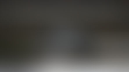 Mehrere graureiher im Wasser