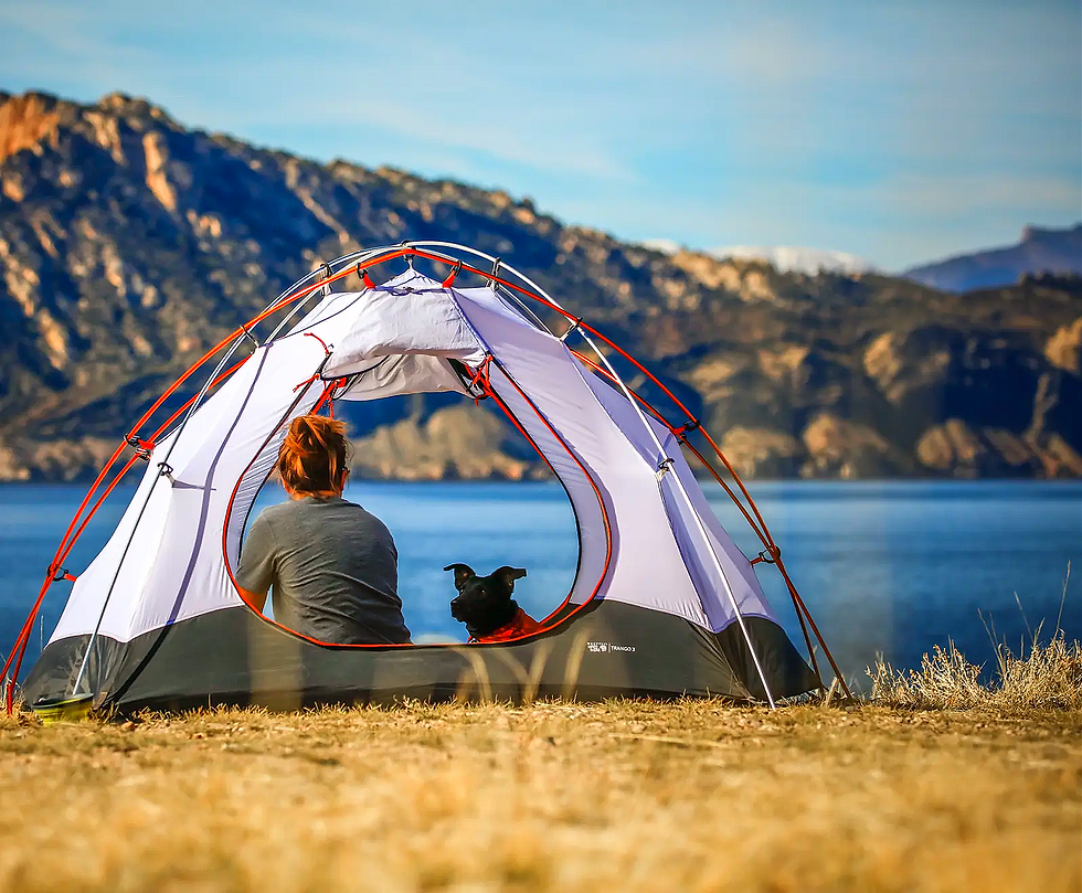 Person und Hund im Zelt mit Aussicht auf See und Berge.
