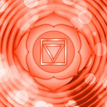 Basischakra, Wurzelchakra Sitz: Beckenboden, Element: Erde, Sinn: Geruchssinn Farbe: Rot, Silbe/Buchstabe: Lam/U - Wird verbunden mit der Fähigkeit, sich im Leben verwurzelt zu fühlen. Stichworte: Stabilität, Familie, Kindheit, Urvertrauen, Basis, Gesellschaft, Konditionierung, Existenzangst