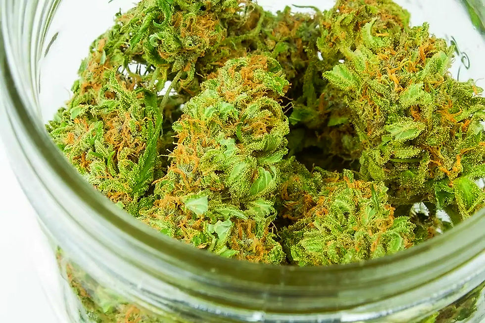 Blüten Marihuana im Glas
