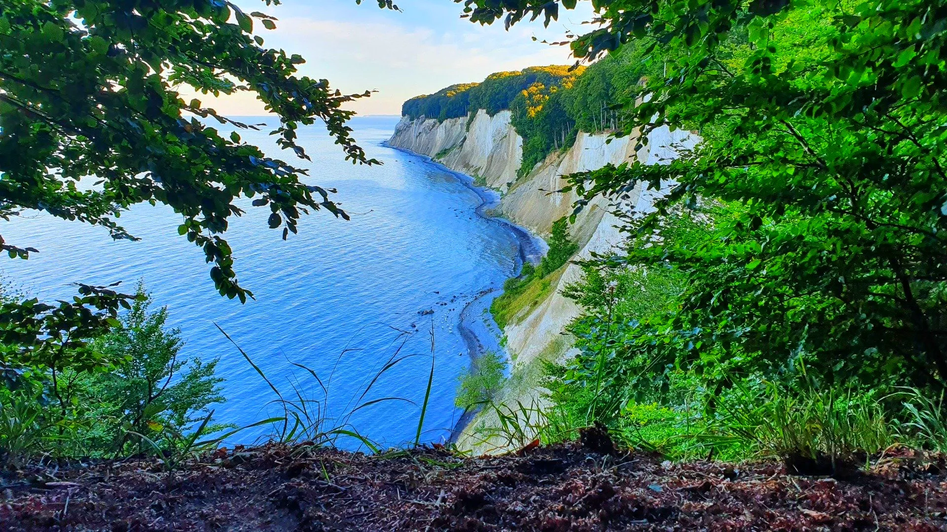 Steilküste auf Rügen