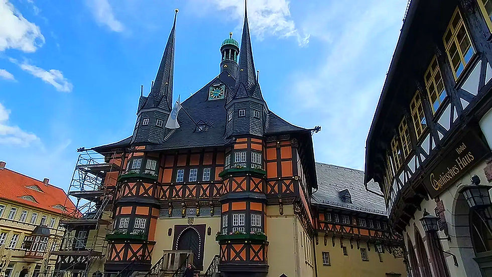 Historisches Rathaus in Wernigerode, Germany, with beautiful architecture, blue sky, and green plants.