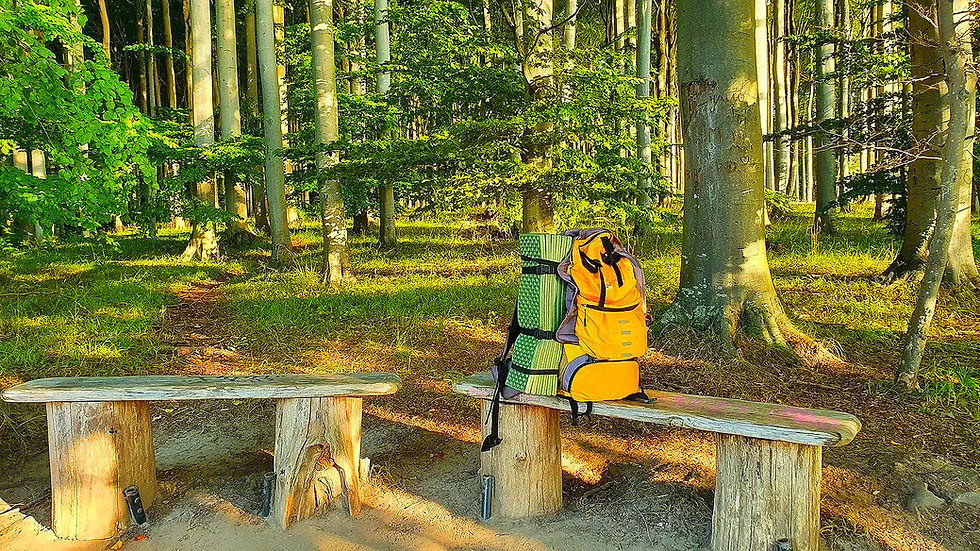 Gelber Rucksack und grüne Isomatte auf Holzbänken im sonnigen Wald.
