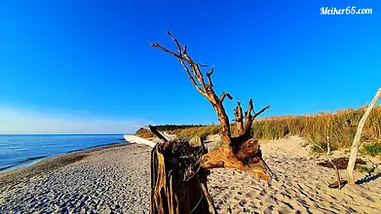 Strand mit Treibholz, Meer, blauer Himmel, Mehrwert65.com.