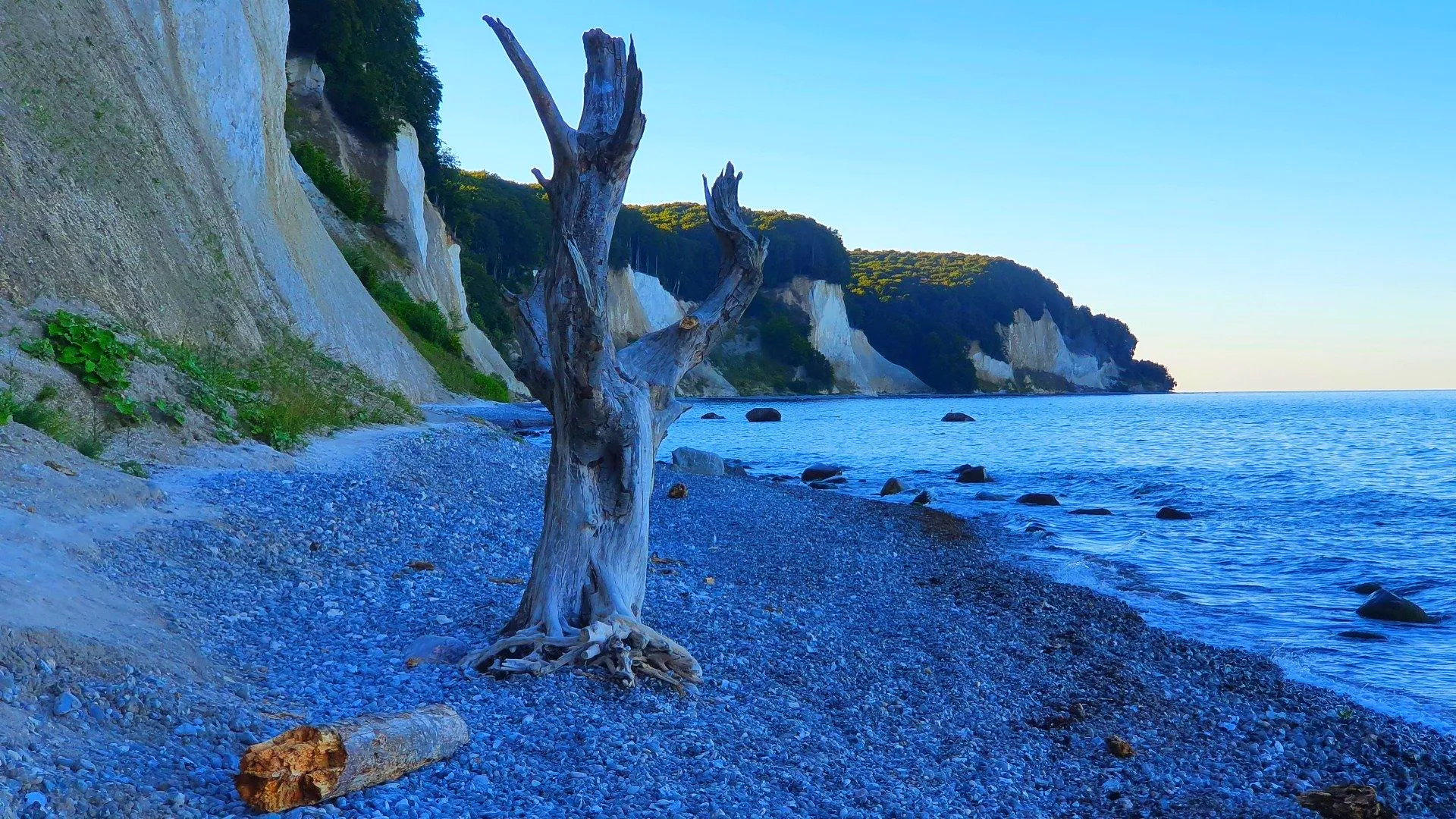 Steilküste auf Rügen
