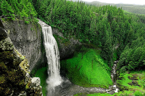 Großer Wasserfall stürzt von Felswand in dichte grüne Waldschlucht.