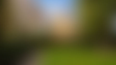 Der Naturpark Dübener Heide