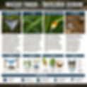 Infografik: Wasser in der Wildnis finden und abkochen.