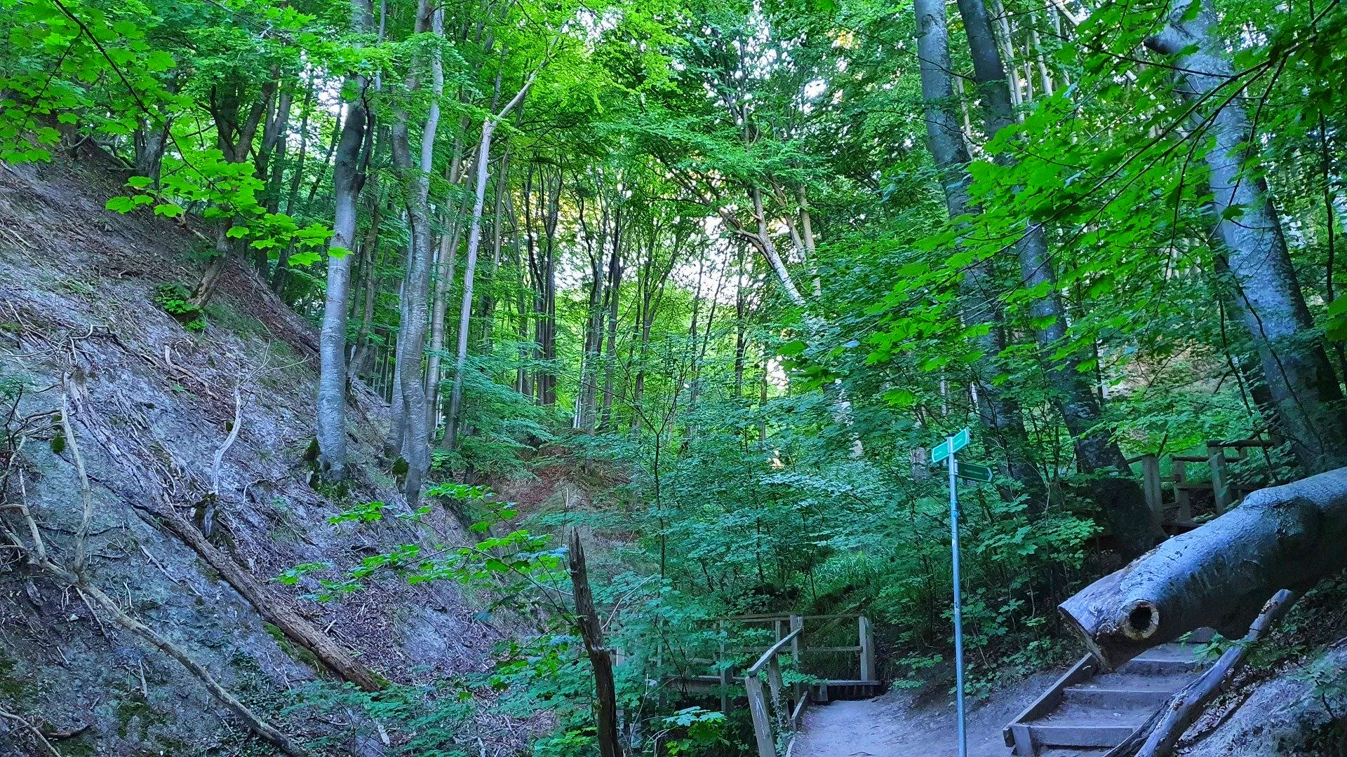Aufgang am Kieler Bach