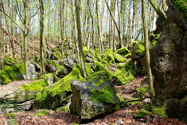 felsenmeer