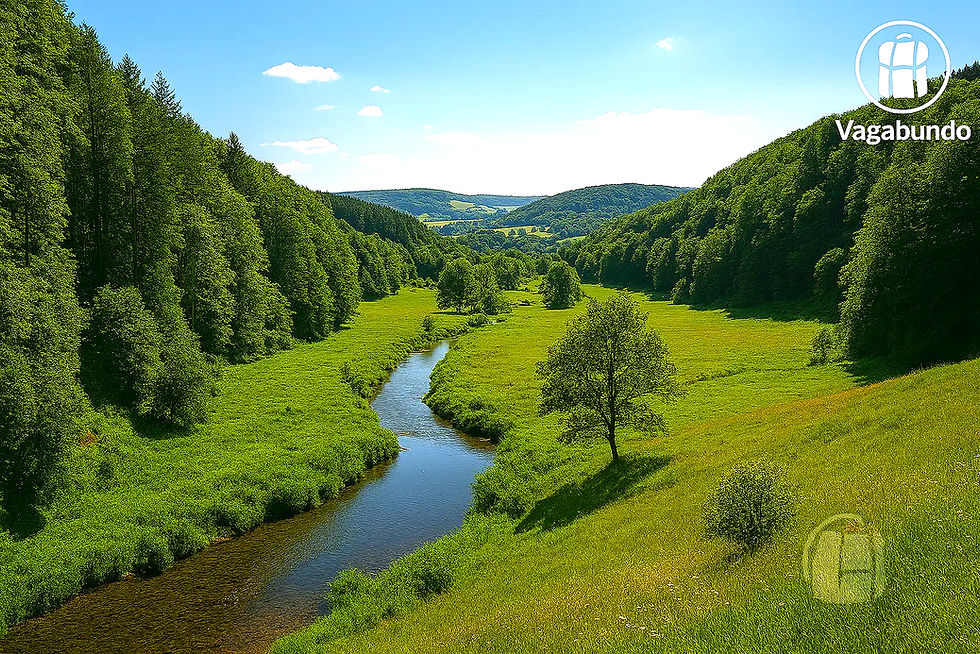 Äpfel am Baum und auf der Wiese