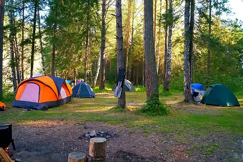 Campingplatz im Wald mit bunten Zelten