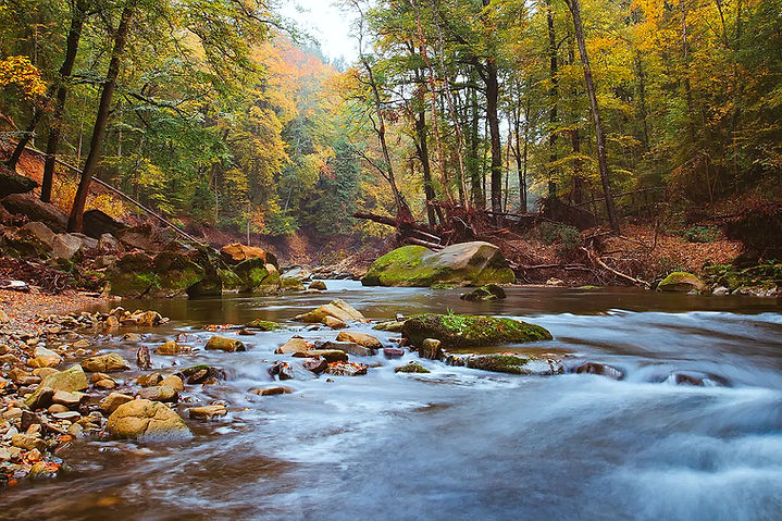 Fließender Fluss durch Herbstwald mit bunten Bäumen und Felsen.