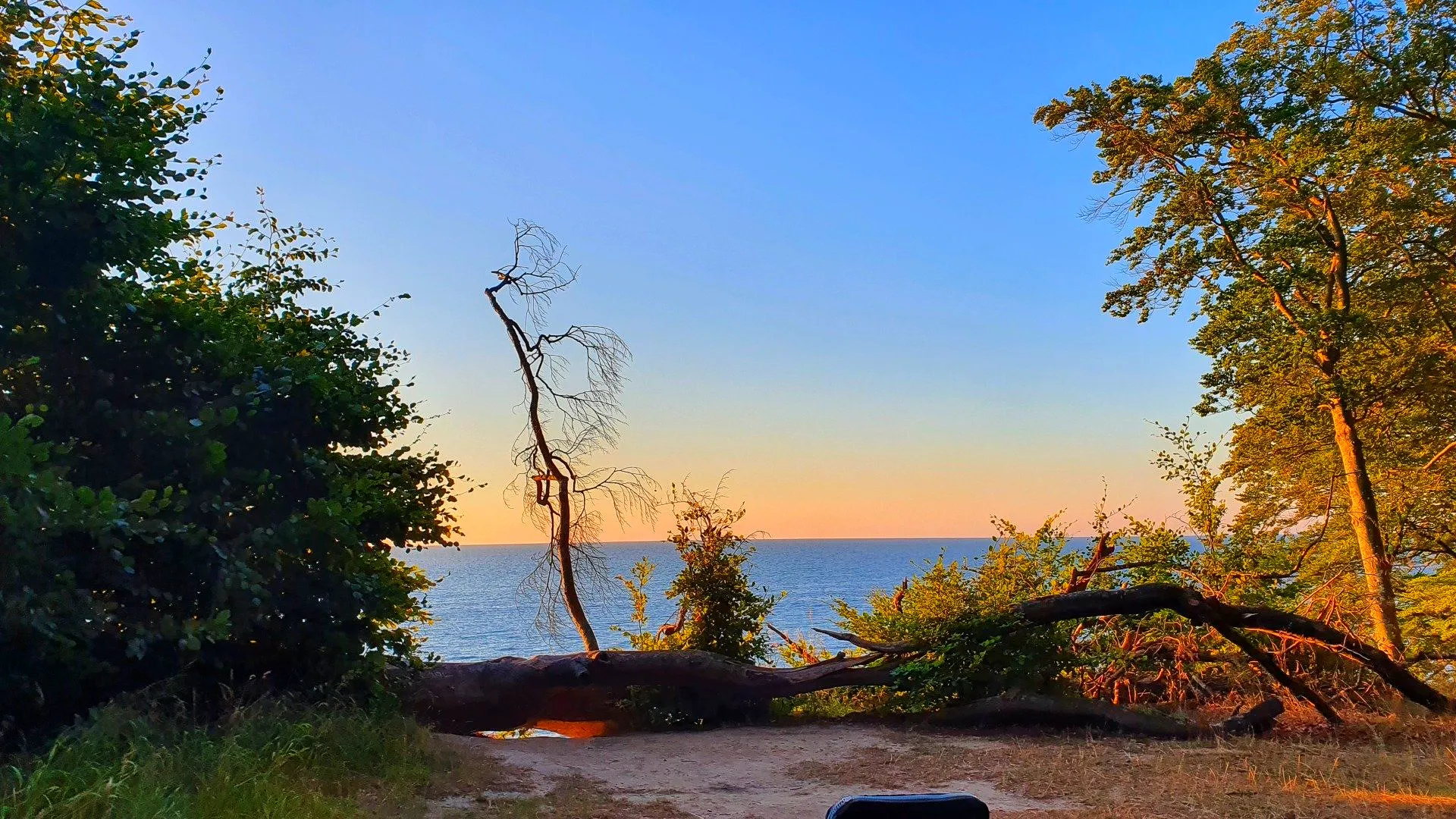 Ausblick auf die Ostsee