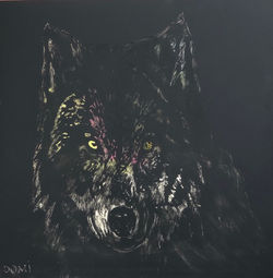 loup 2