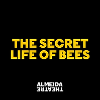 UK Premier of The Secret life of Bees