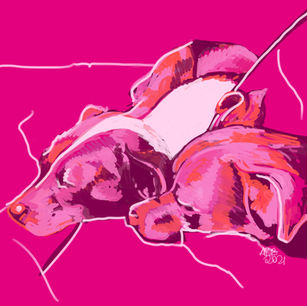 Minimalist digital portrait on a bright magenta background of a micromini pitbull and a pitbull whippet mix lying together against pink lines that suggest pillows.