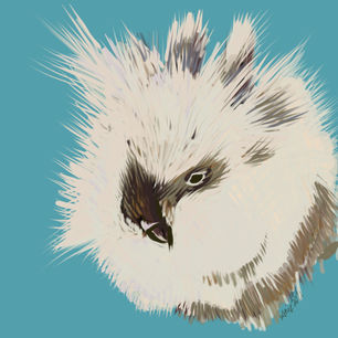 Digital illustration of a very fluffy white bunny with brown feet, ears, and face against a teal backdrop. The bunny sits slightly off center to the right. 