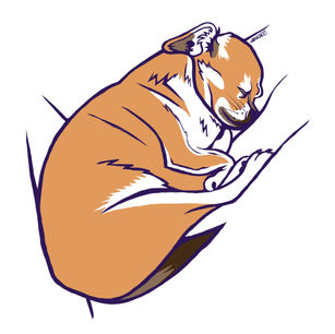 Graphic digital portrait of a round brown foxlike dog cuddled up sleeping with her tail tucked up beneath her and her face smooshed against a blanket.