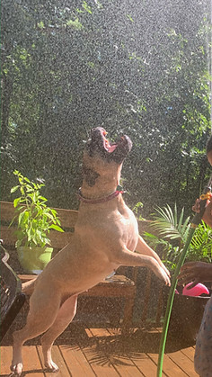Elsa playing in the water