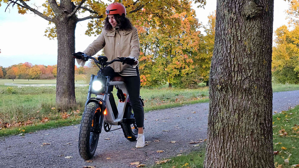 Kuiperbelt levensstijl