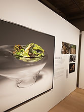 20170918_200133.jpg
