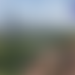 Bangkok Opens Thailand's Largest Sky Garden at Dusit Central Park