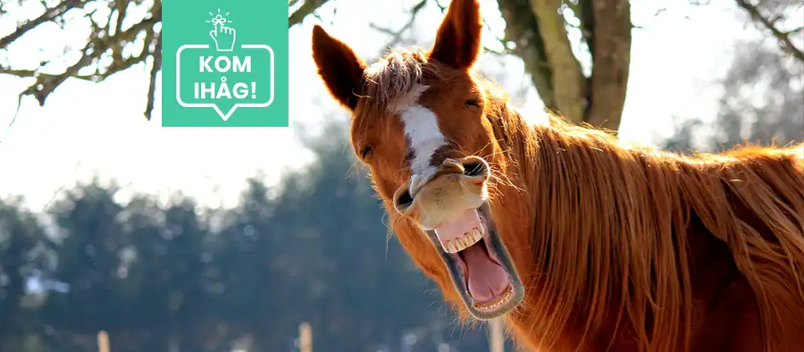 För åttonde året i rad är medlemsavgiften oförändrad