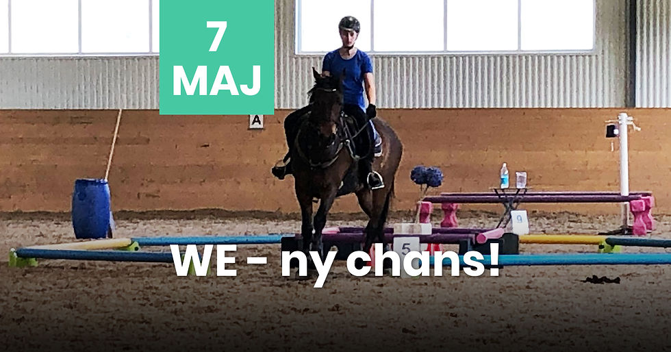 Ny chans att träna Working Equitation! 