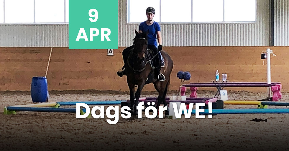 Kom och träna Working Equitation!