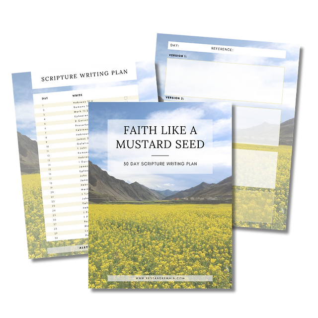 valley between mountains filled with yellow flowers and green grass, blue sky filled with white clouds