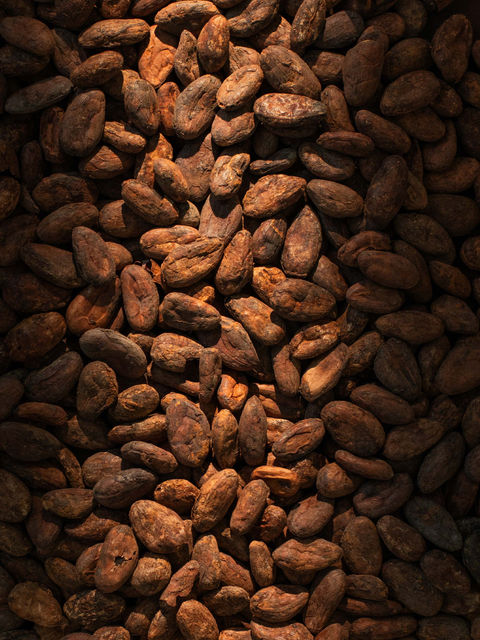 texture_beans