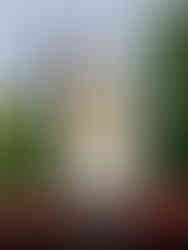 12-poster