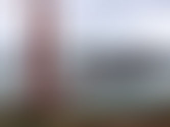 What To Do & See in San Francisco